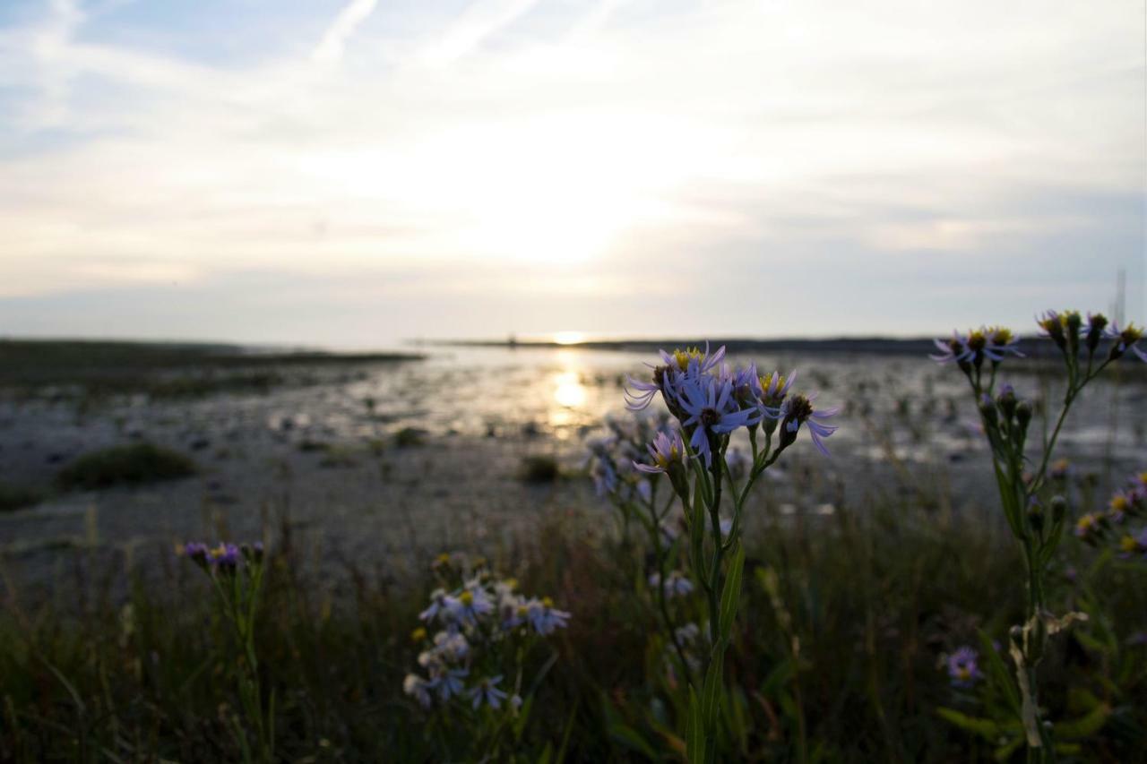Romantischer Winkel Neuharlingersiel Exteriér fotografie